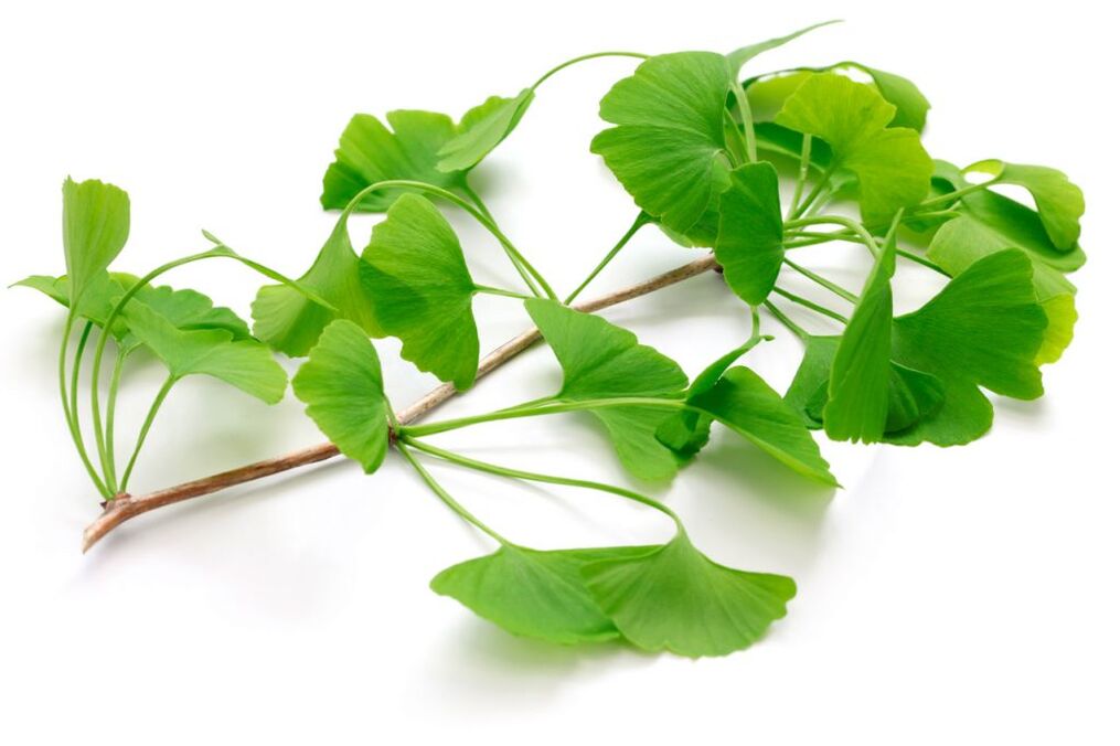 kapsüllerde ginkgo biloba Insuvit